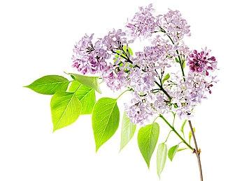 TGA获奖游戏《极限竞速：地平线5》入驻小红书  万元奖金等你拿